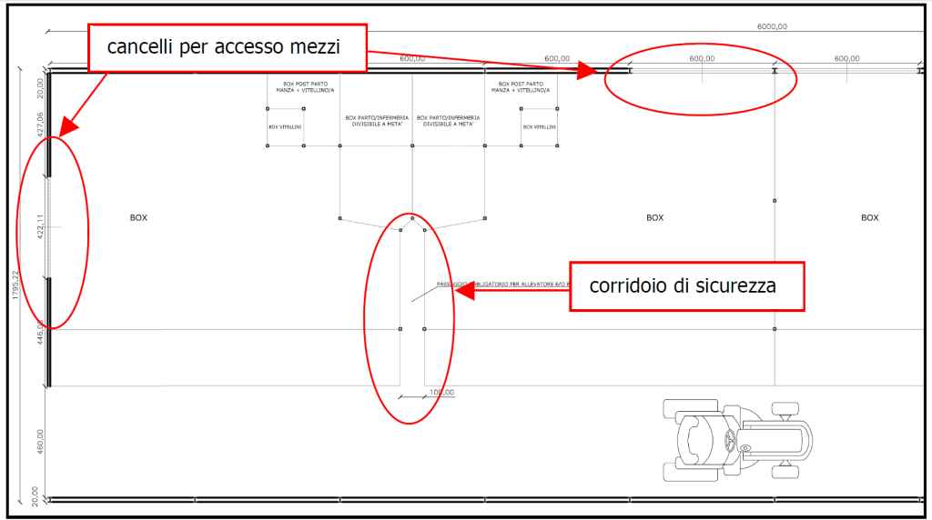 Esempio di stalla per vacche nutrici dotata di corridoio di sicurezza.