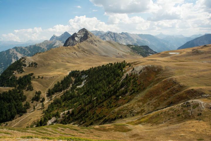 pascoli alpini