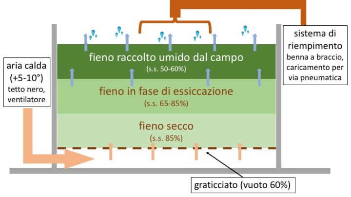 Schema di essiccazione del fieno